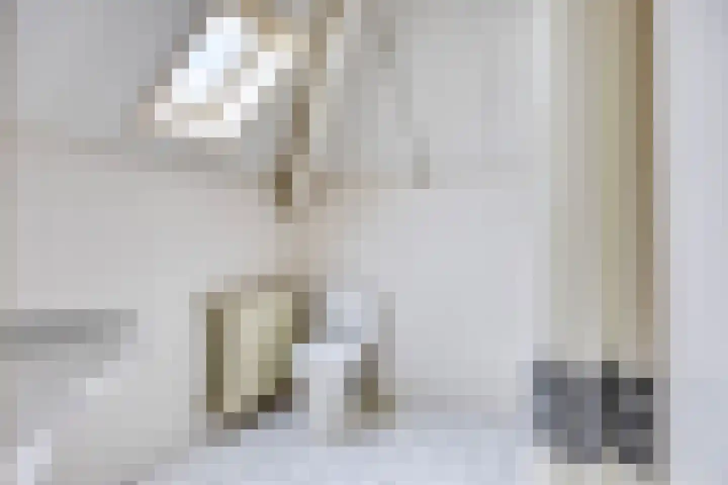 Dorpsstraat 23 Steenderen thumbnail 40