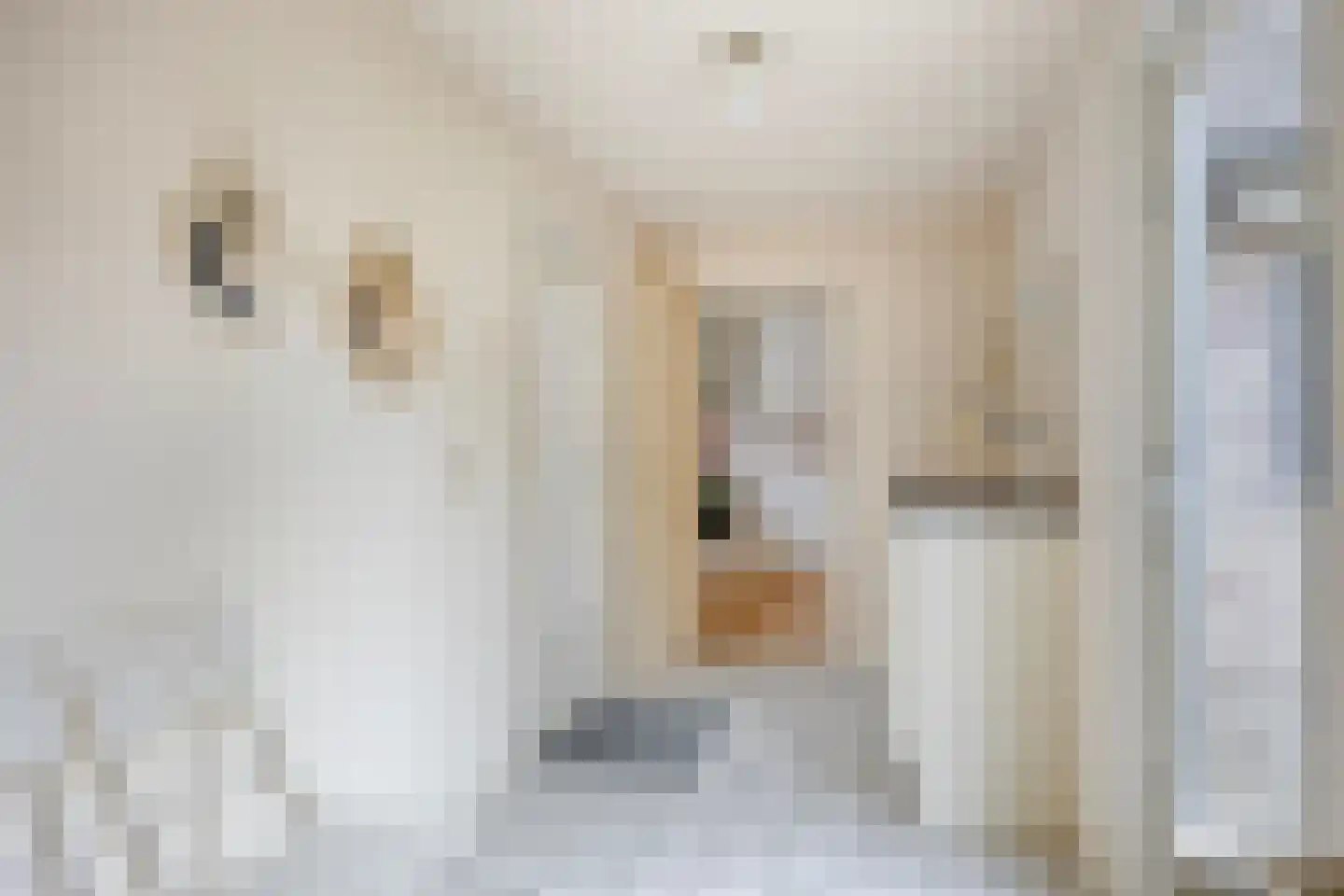 Dorpsstraat 23 Steenderen thumbnail 42