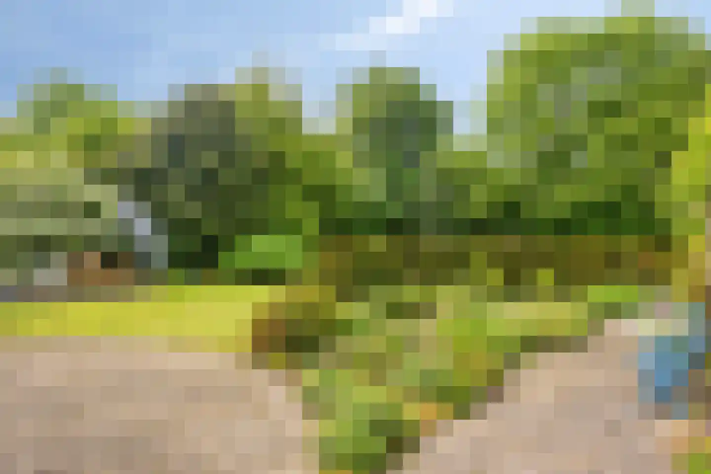 Dorpsstraat 23 Steenderen thumbnail 45