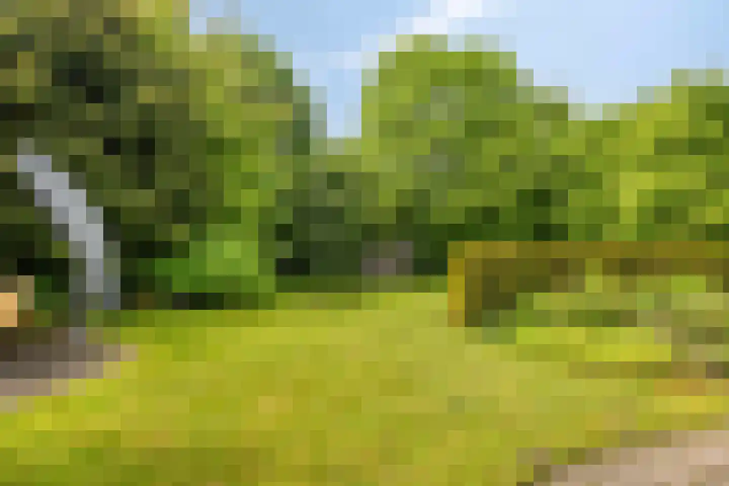 Dorpsstraat 23 Steenderen thumbnail 46
