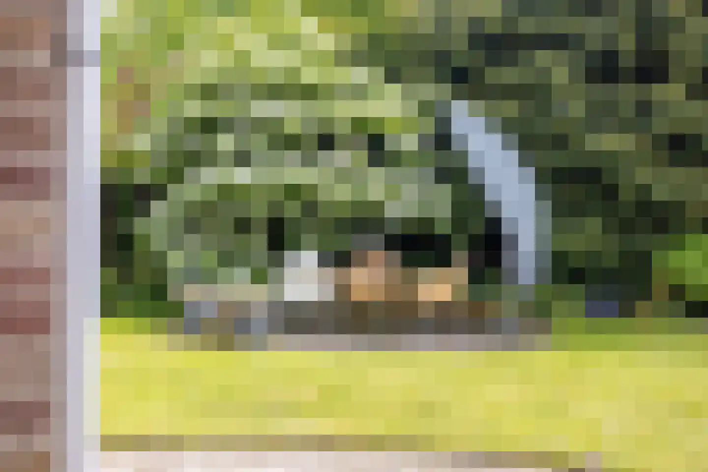 Dorpsstraat 23 Steenderen thumbnail 54