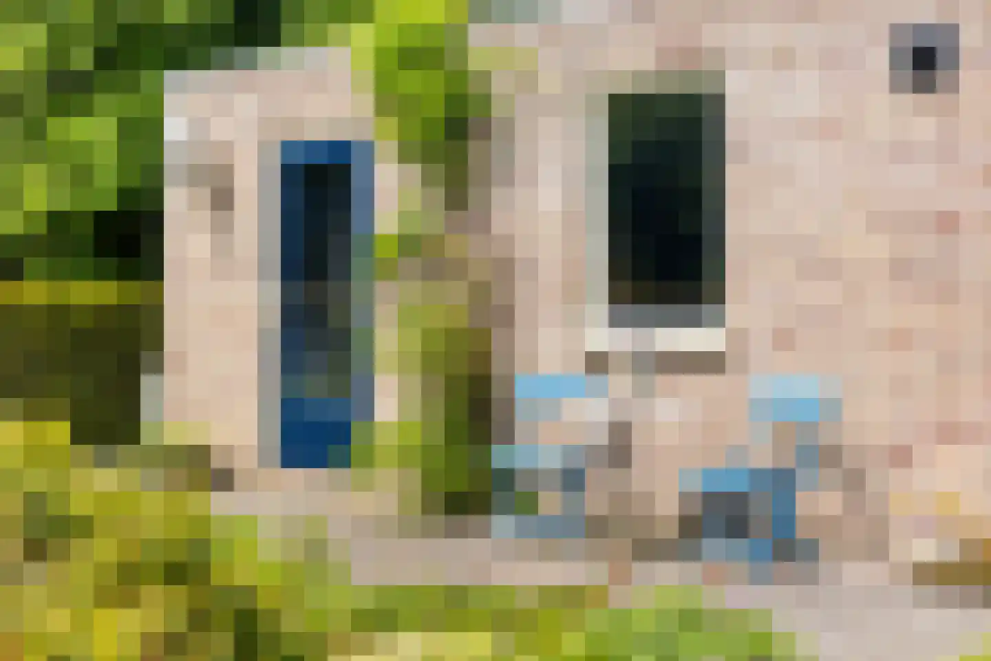 Dorpsstraat 23 Steenderen thumbnail 55