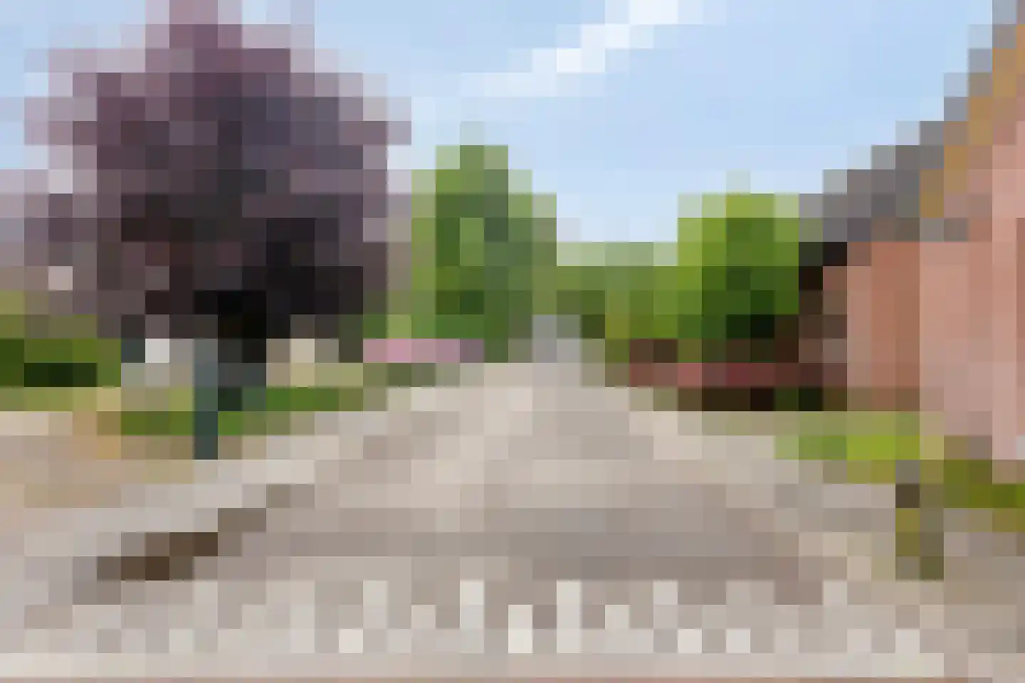 Dorpsstraat 23 Steenderen thumbnail 58