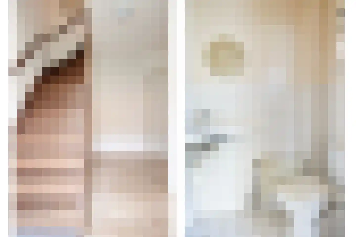 Dorpsstraat 23 Steenderen thumbnail 6