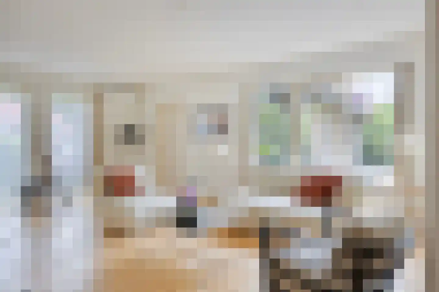 Dorpsstraat 23 Steenderen thumbnail 7