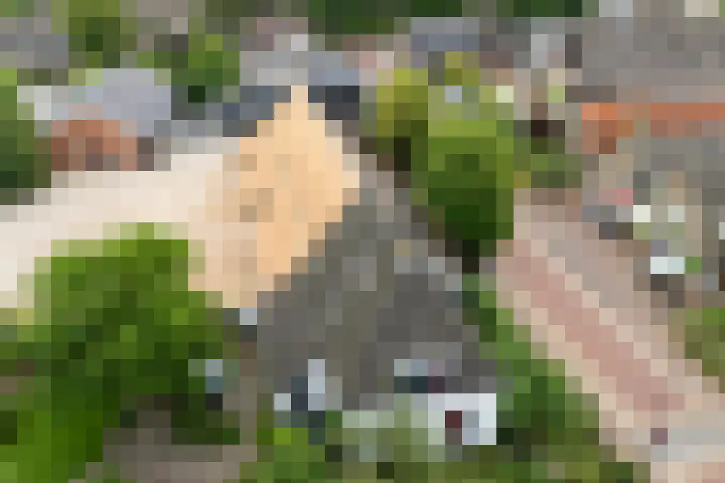 Dorpsstraat 23 Vledder thumbnail 12