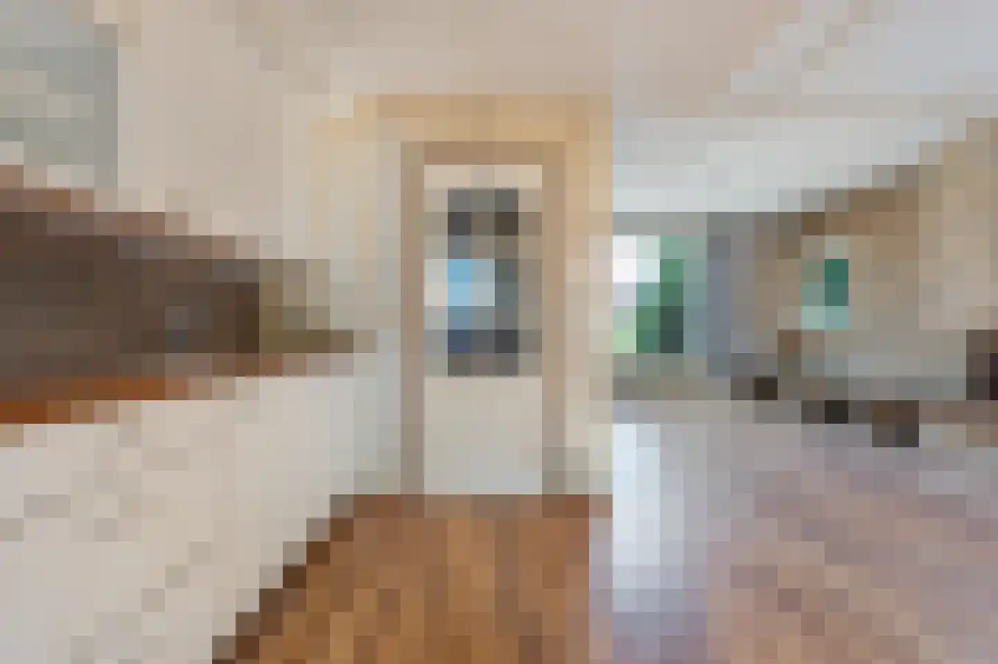 Dorpsstraat 234 Wormer thumbnail 10