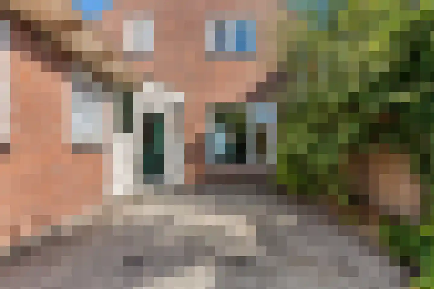 Dorpsstraat 234 Wormer thumbnail 11