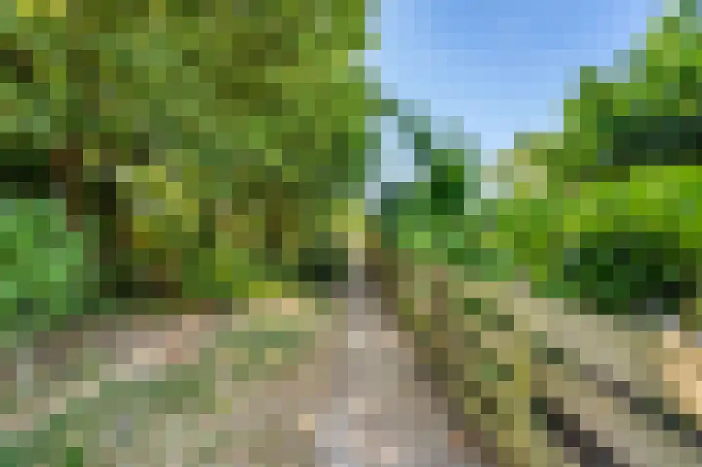 Dorpsstraat 234 Wormer thumbnail 15
