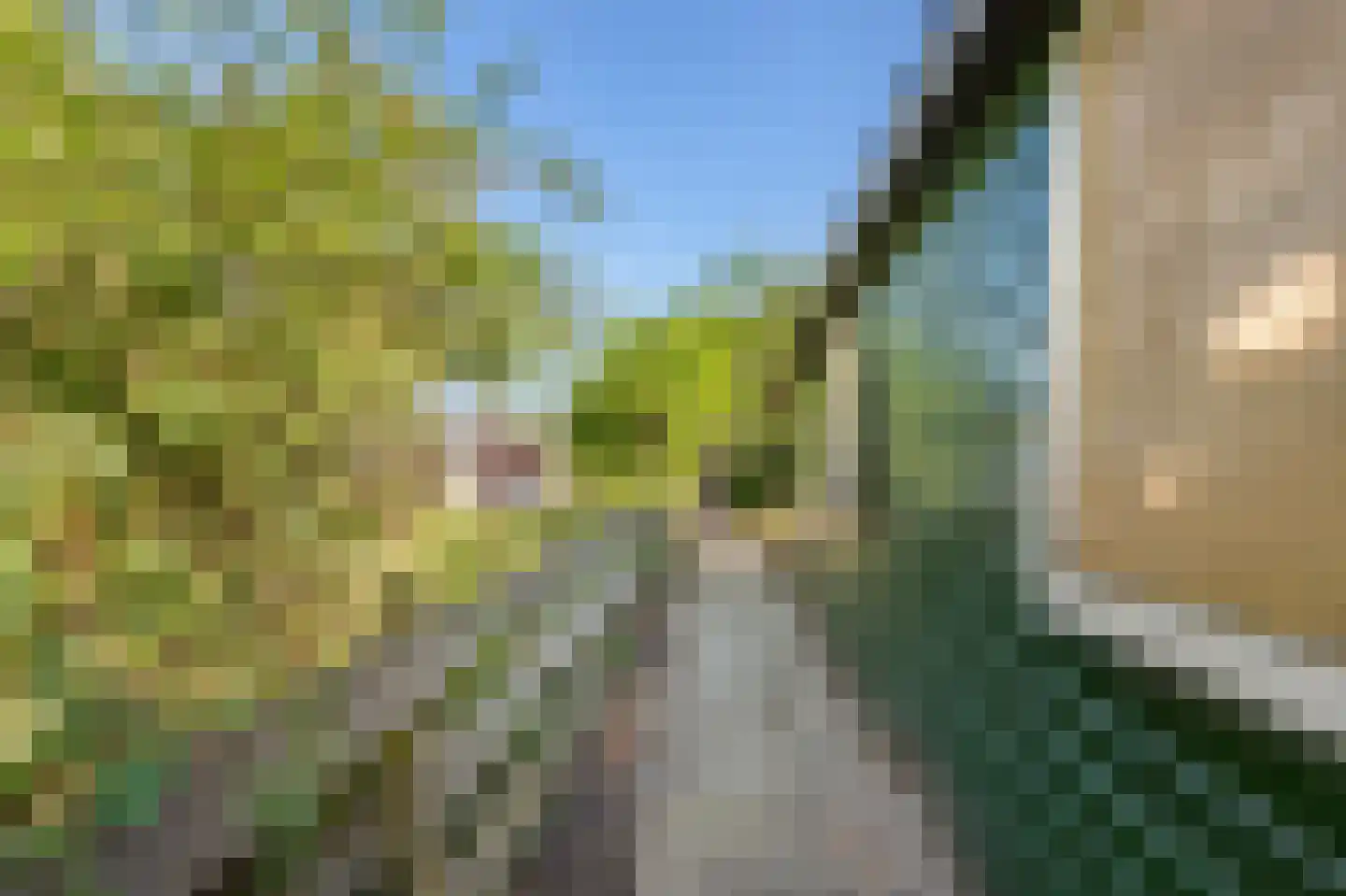 Dorpsstraat 234 Wormer thumbnail 20