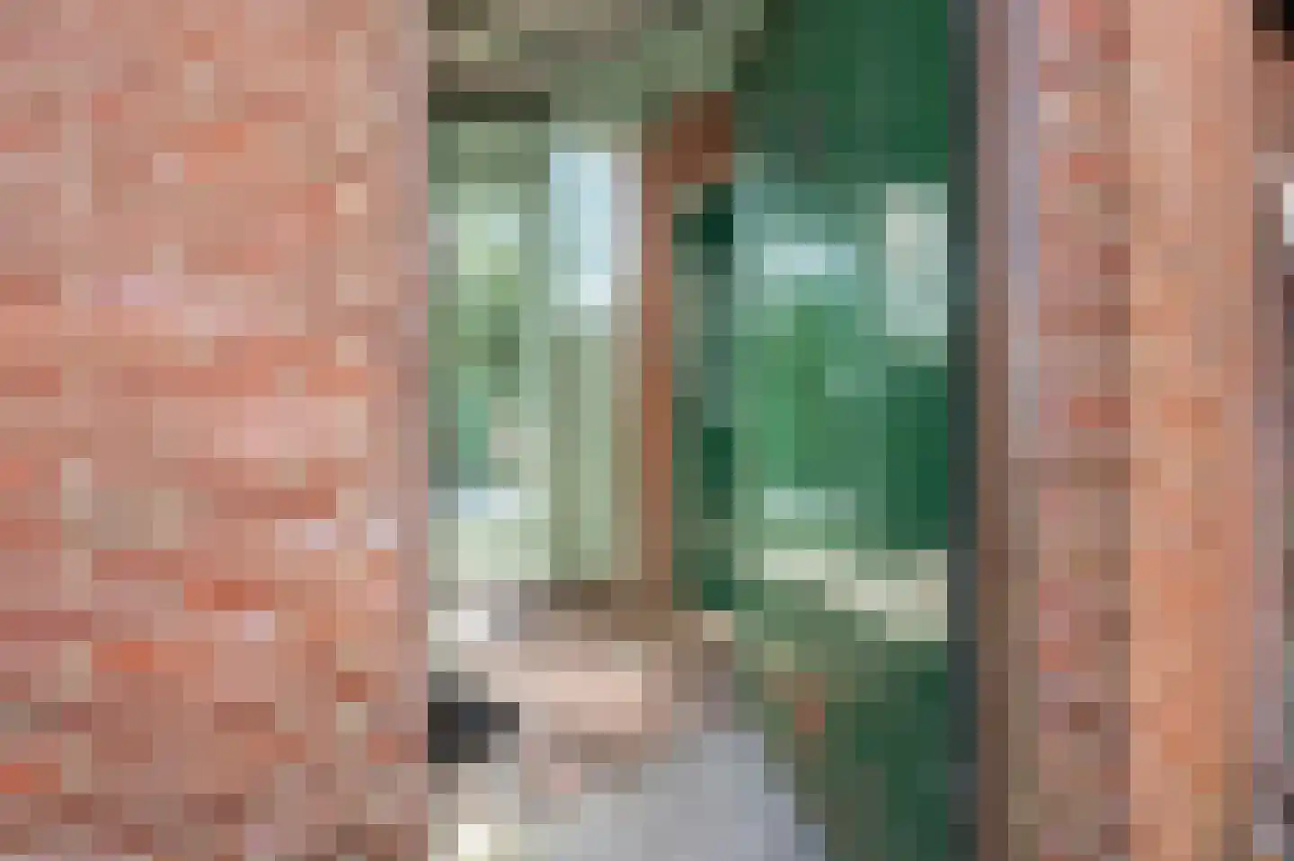 Dorpsstraat 234 Wormer thumbnail 27