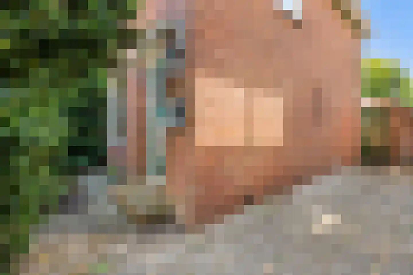 Dorpsstraat 234 Wormer thumbnail 41
