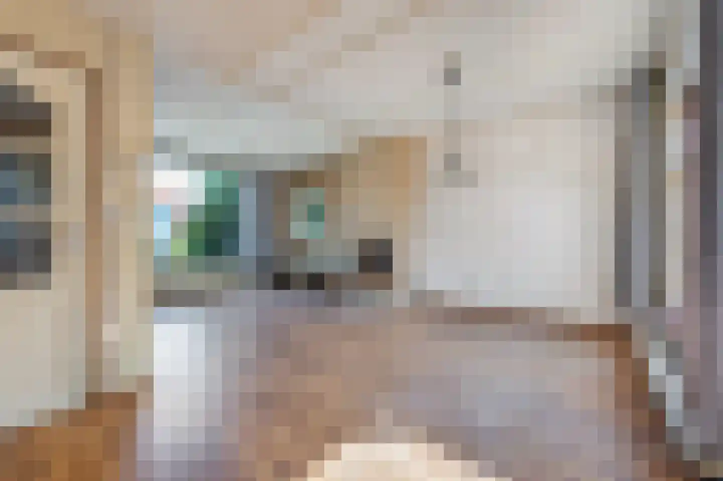 Dorpsstraat 234 Wormer thumbnail 6