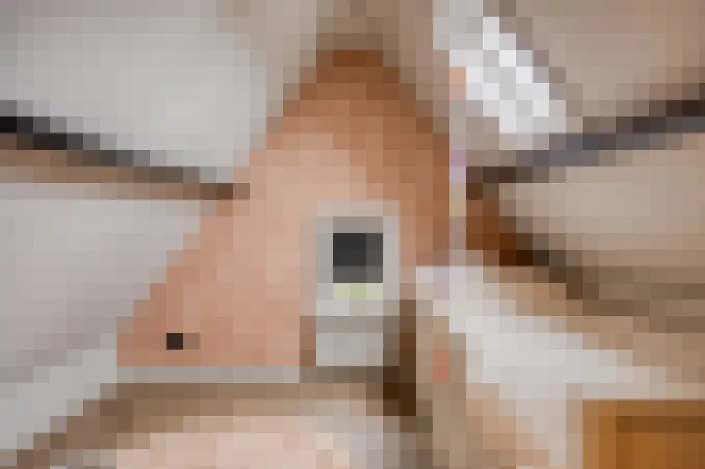 Dorpsstraat 237 Lunteren thumbnail 31