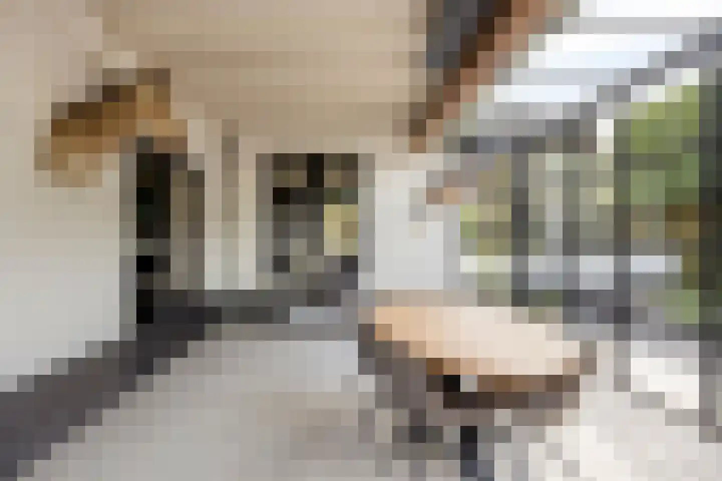Dorpsstraat 237 Lunteren thumbnail 38