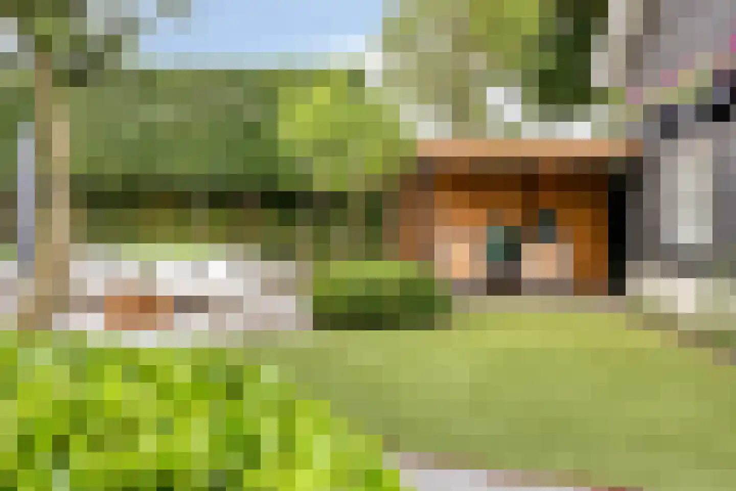 Dorpsstraat 237 Lunteren thumbnail 41