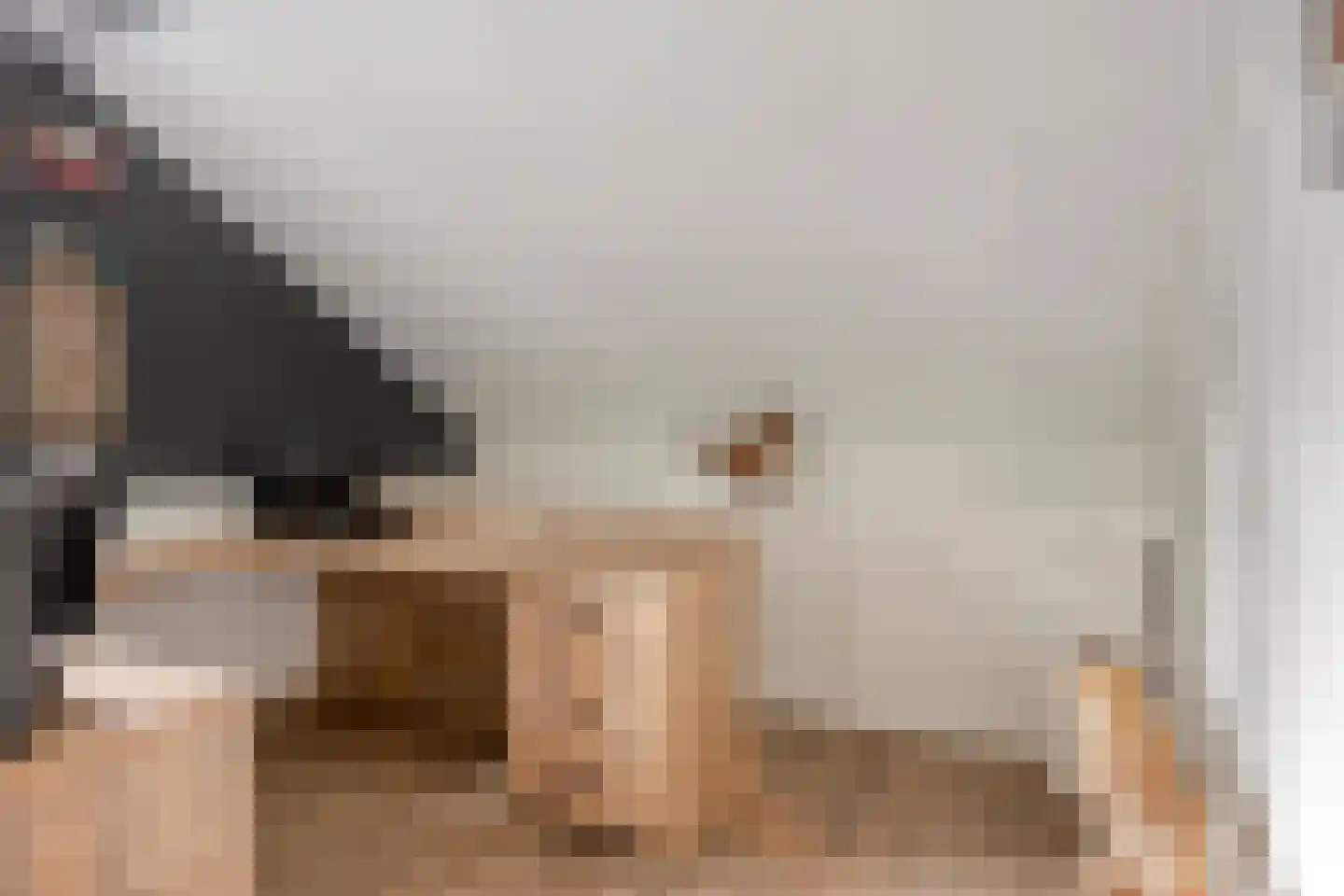 Dorpsstraat 237 Lunteren thumbnail 52