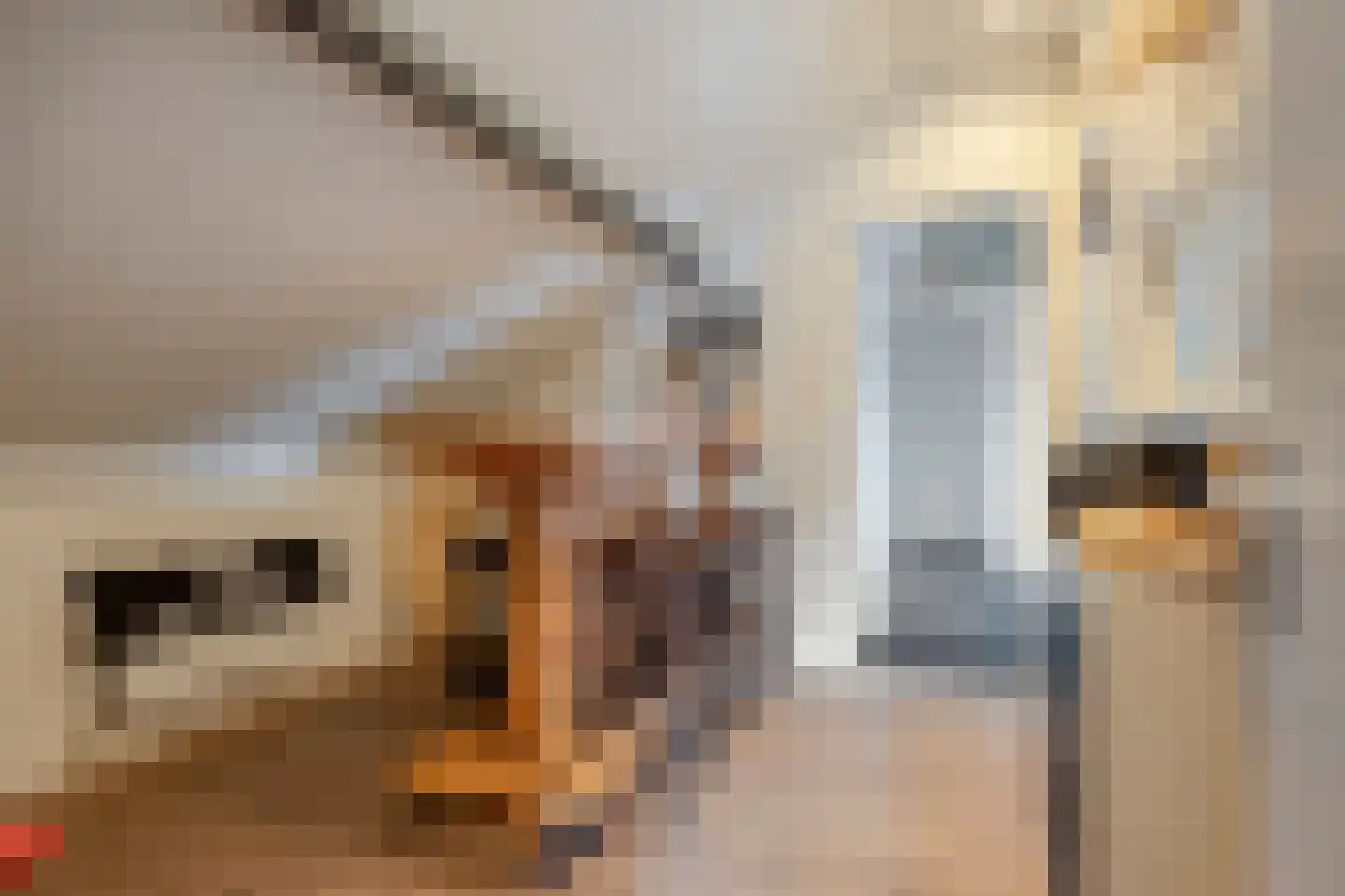 Dorpsstraat 237 Lunteren thumbnail 54