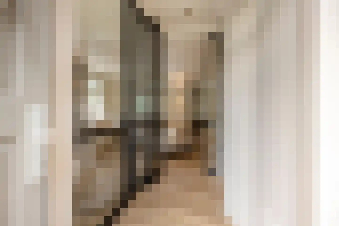 Dorpsstraat 237 Lunteren thumbnail 6