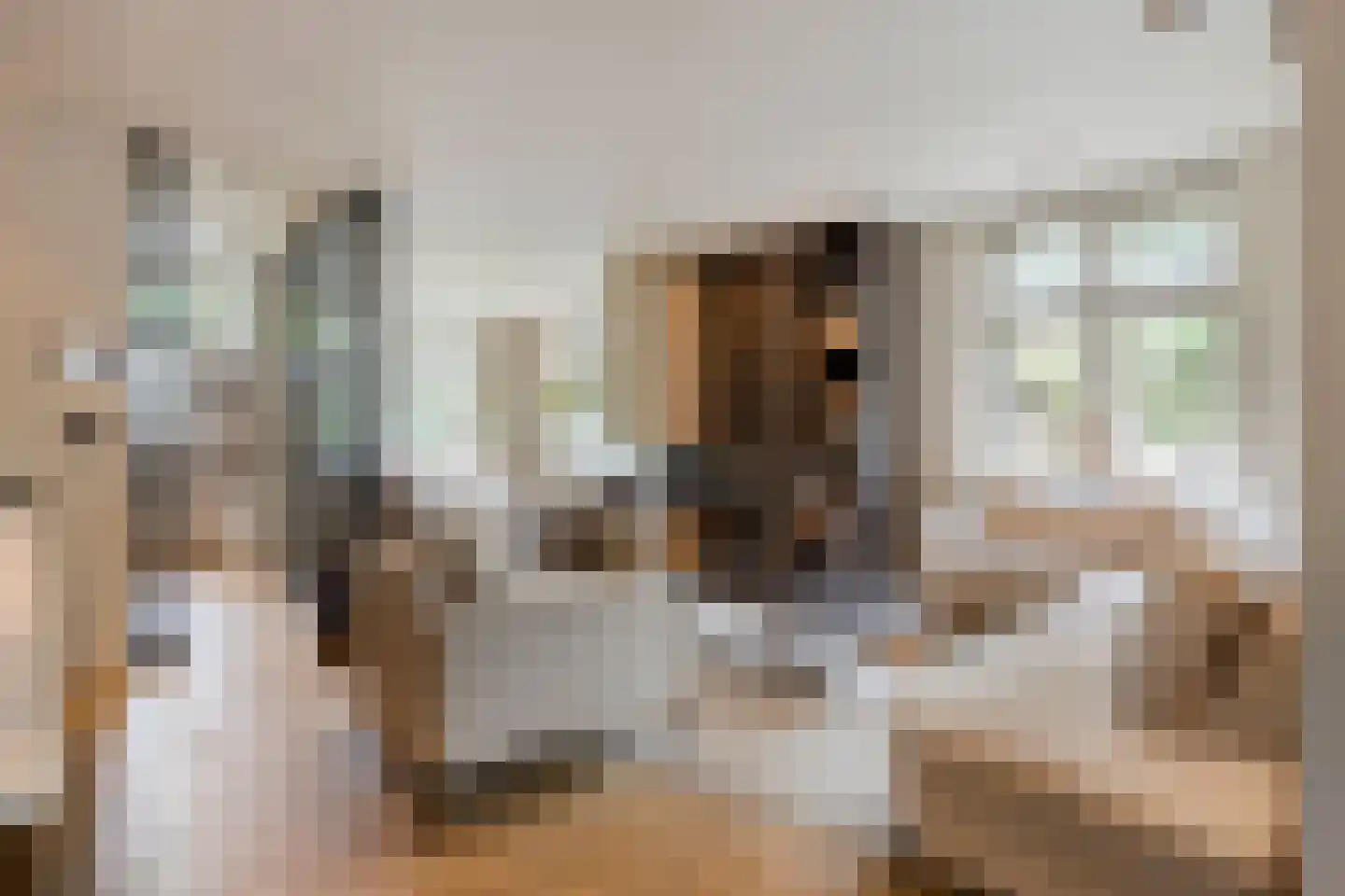 Dorpsstraat 237 Lunteren thumbnail 9