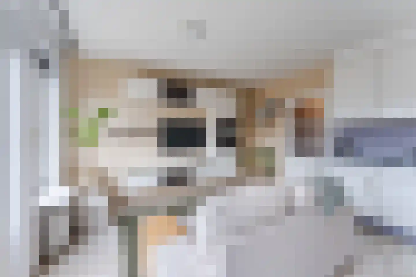 Dorpsstraat 239 c Scherpenzeel thumbnail 5