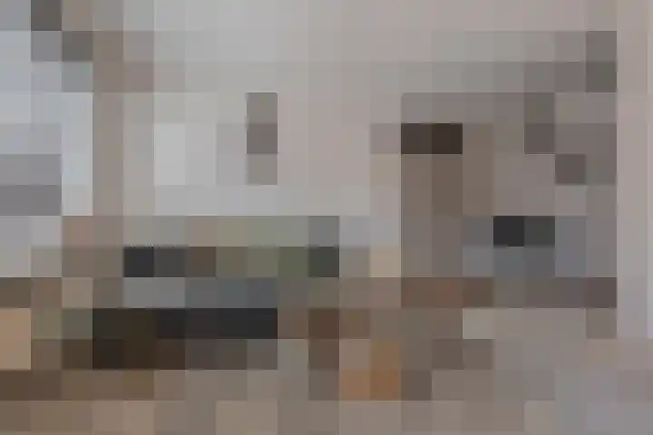 Dorpsstraat 239 e Scherpenzeel thumbnail 13