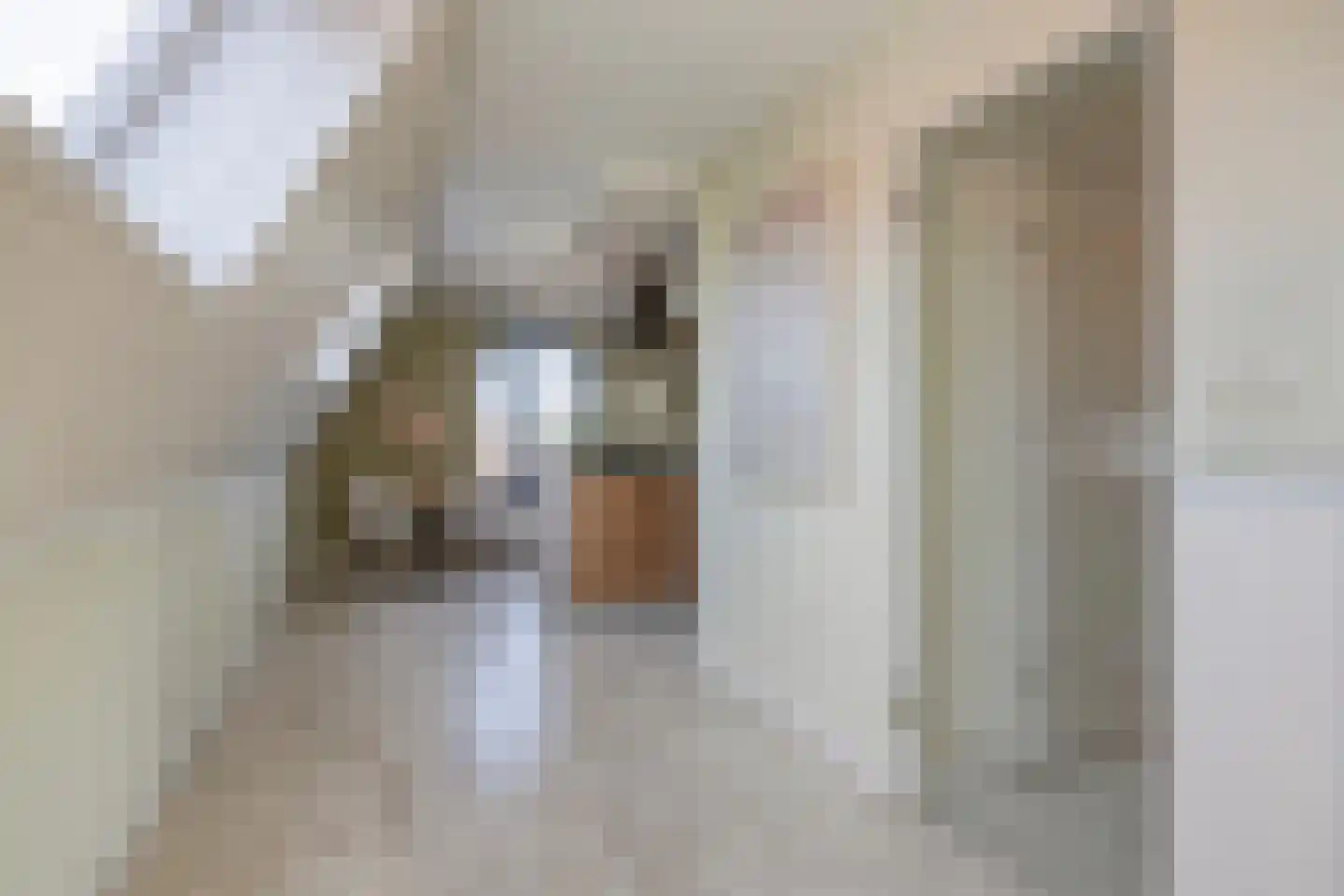 Dorpsstraat 239 h Scherpenzeel thumbnail 10