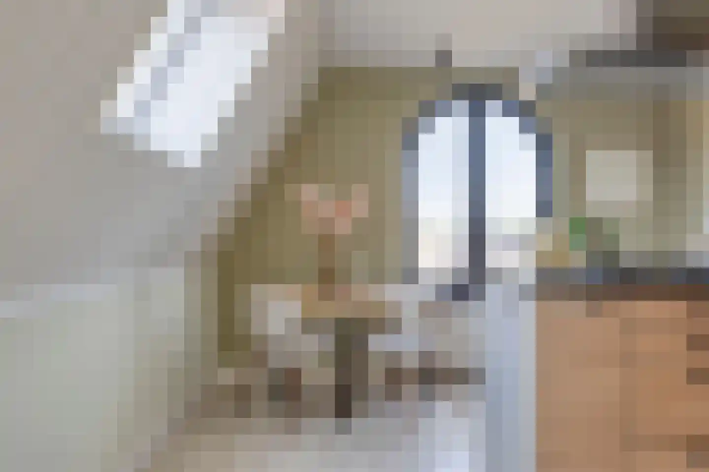 Dorpsstraat 239 h Scherpenzeel thumbnail 12