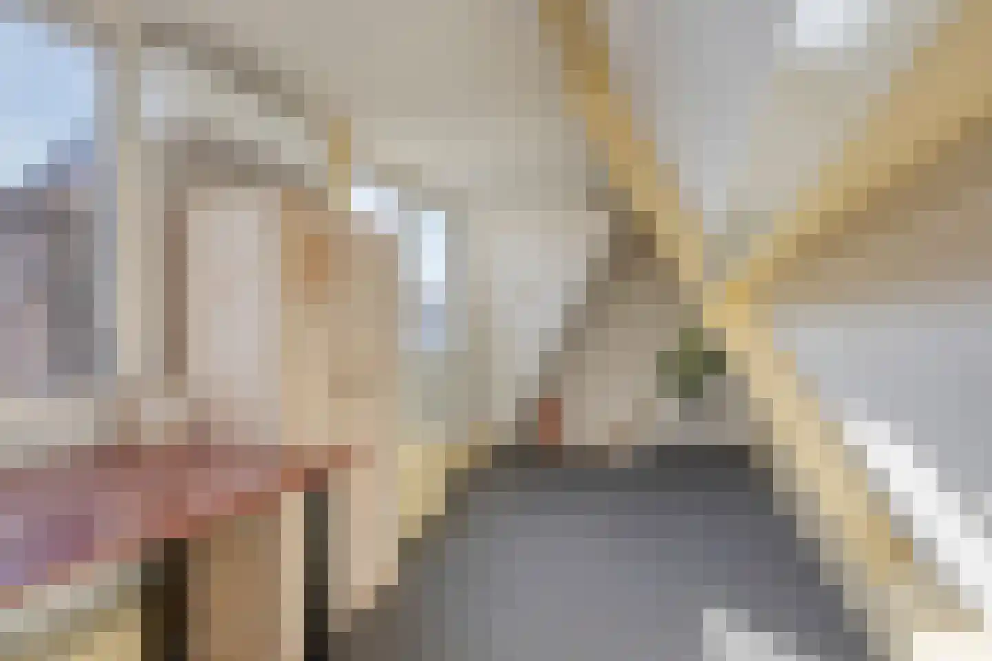 Dorpsstraat 239 h Scherpenzeel thumbnail 24