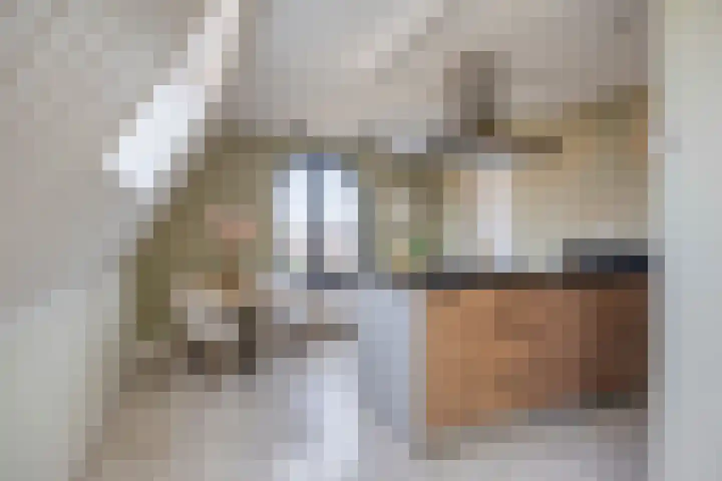 Dorpsstraat 239 h Scherpenzeel thumbnail 4