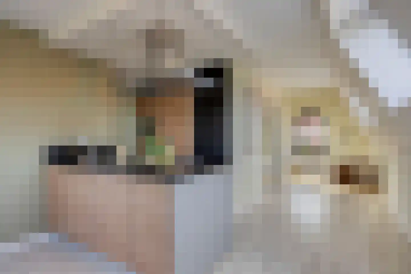 Dorpsstraat 239 h Scherpenzeel thumbnail 5