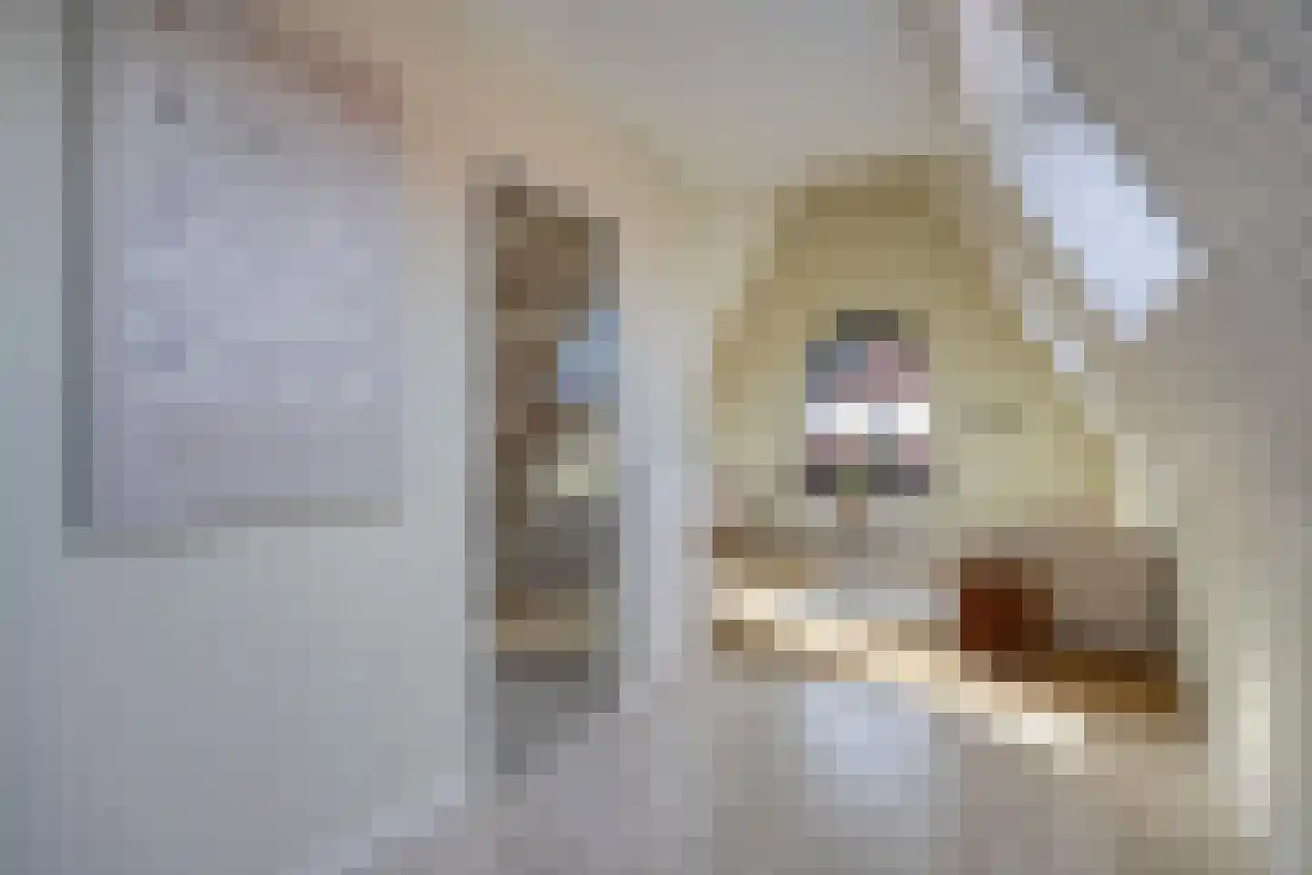 Dorpsstraat 239 h Scherpenzeel thumbnail 6