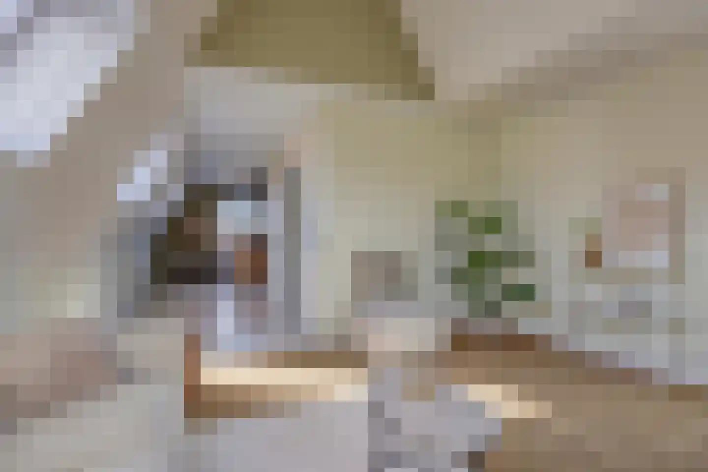 Dorpsstraat 239 h Scherpenzeel thumbnail 9