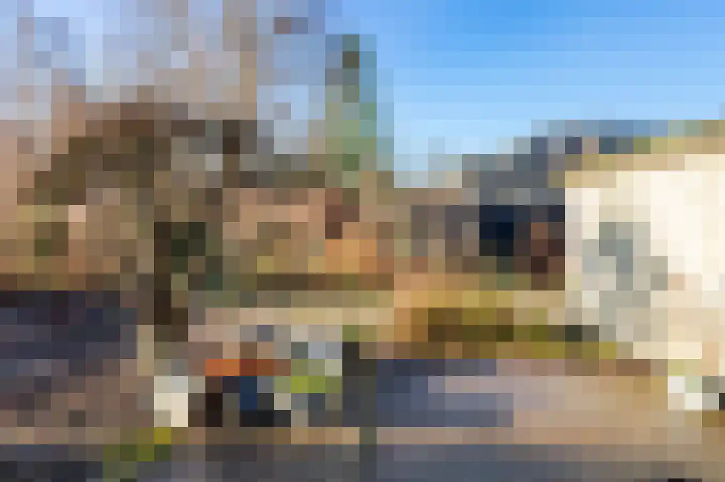 Dorpsstraat 239 Warmenhuizen thumbnail 24