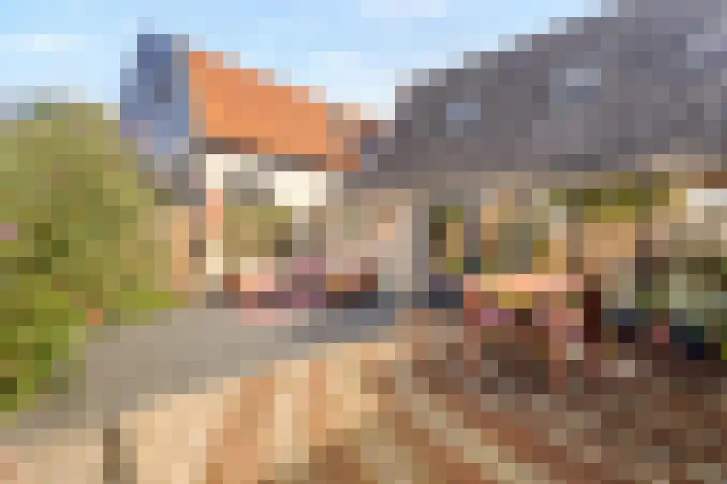 Dorpsstraat 239 Zuid-Scharwoude thumbnail 4