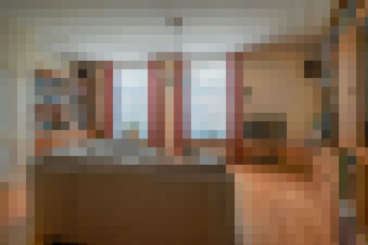 Dorpsstraat 24 Bergschenhoek thumbnail 11