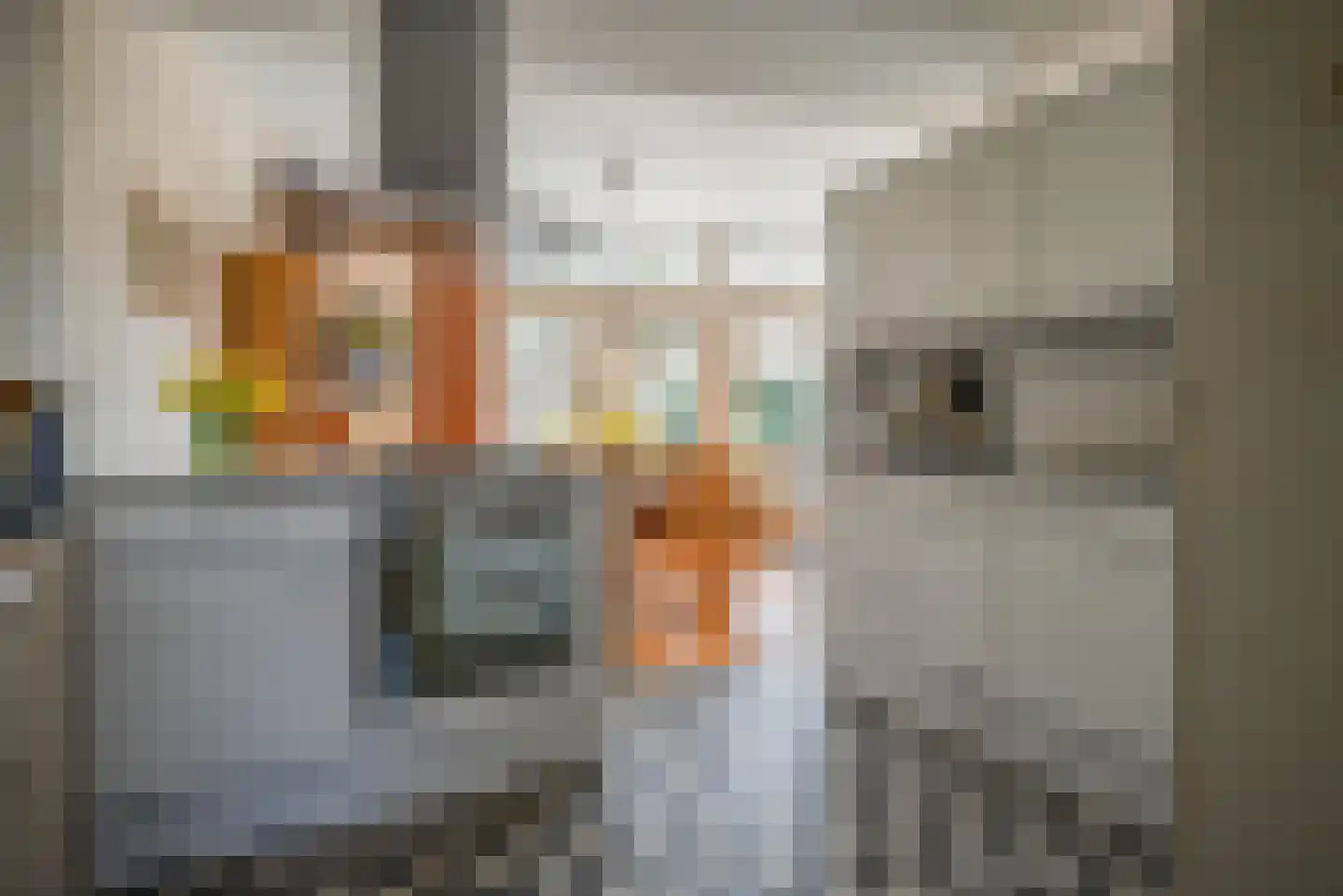 Dorpsstraat 24 Bergschenhoek thumbnail 12