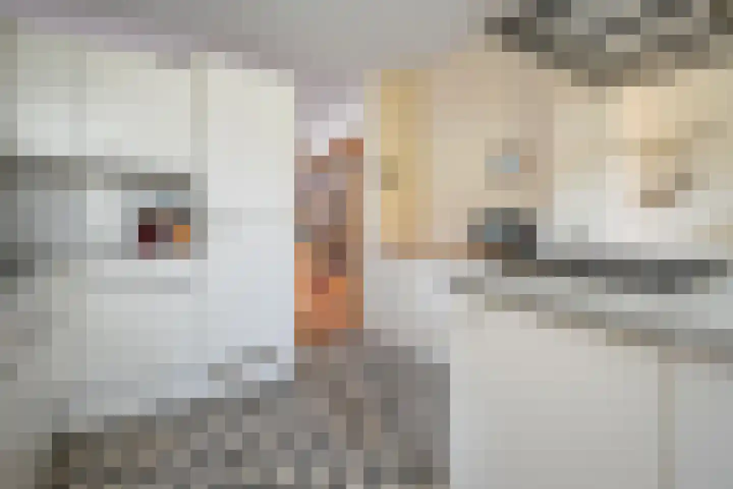 Dorpsstraat 24 Bergschenhoek thumbnail 14