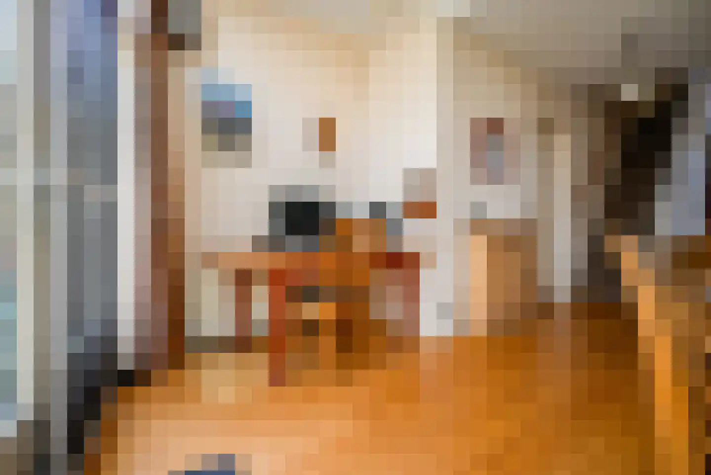 Dorpsstraat 24 Bergschenhoek thumbnail 16