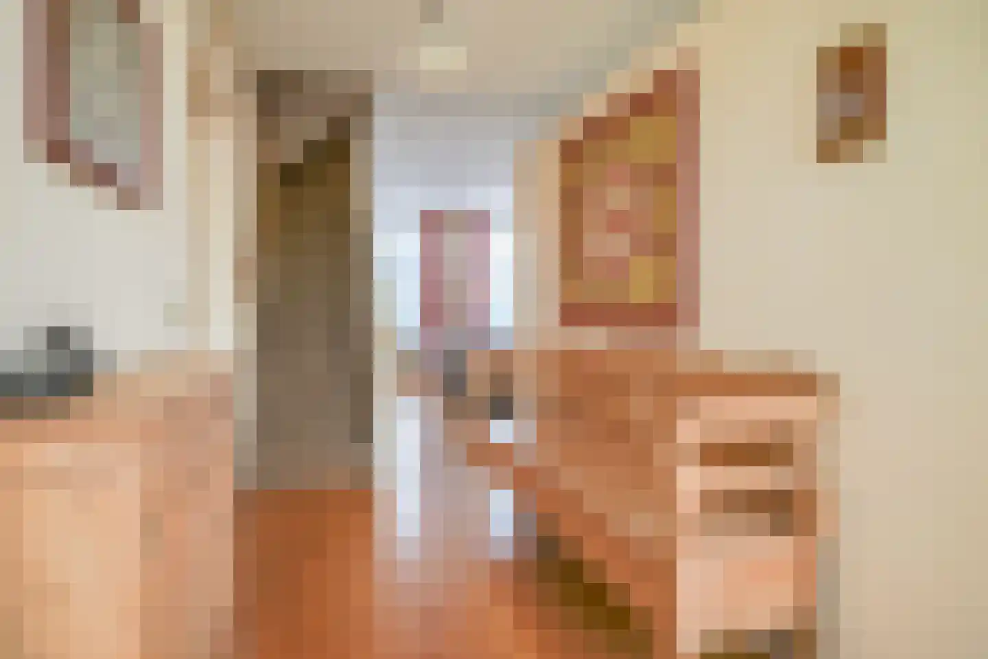 Dorpsstraat 24 Bergschenhoek thumbnail 18