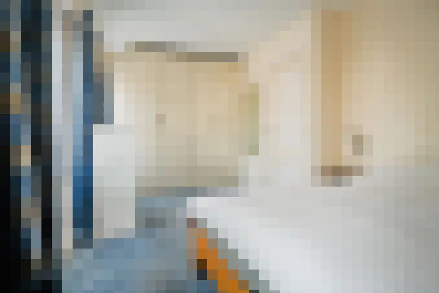 Dorpsstraat 24 Bergschenhoek thumbnail 27