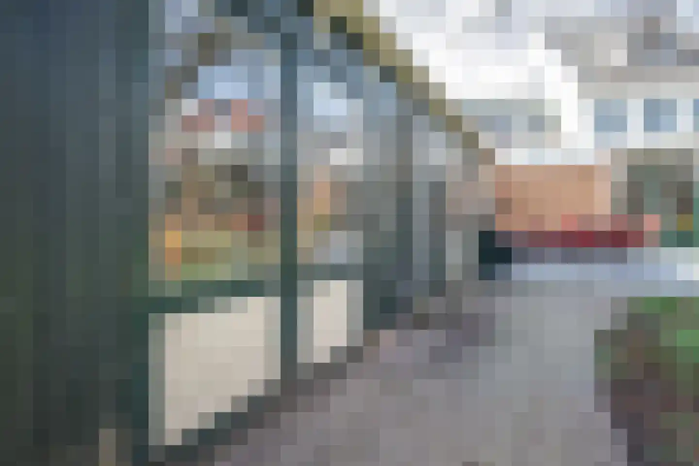Dorpsstraat 24 Bergschenhoek thumbnail 32