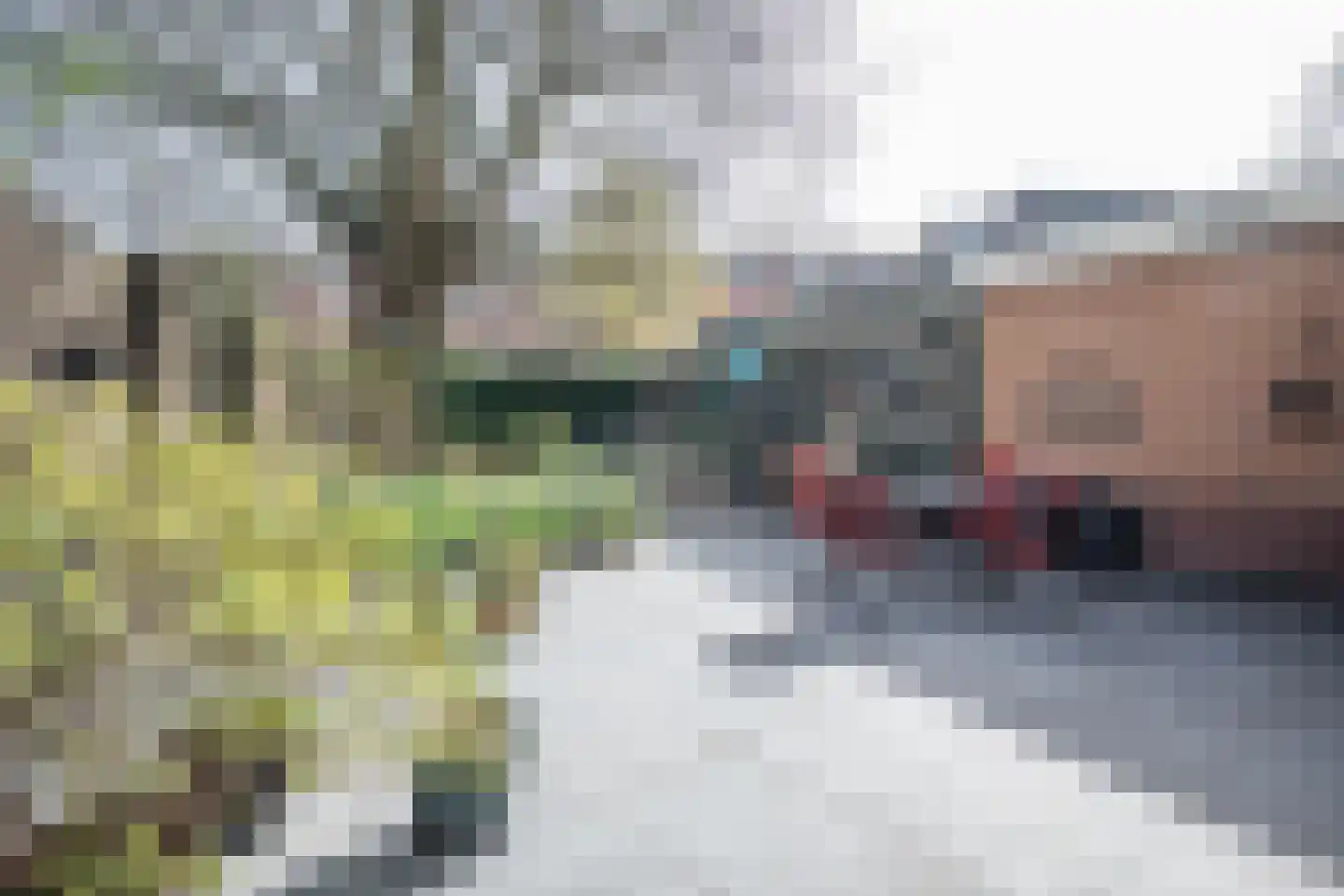 Dorpsstraat 24 Bergschenhoek thumbnail 37