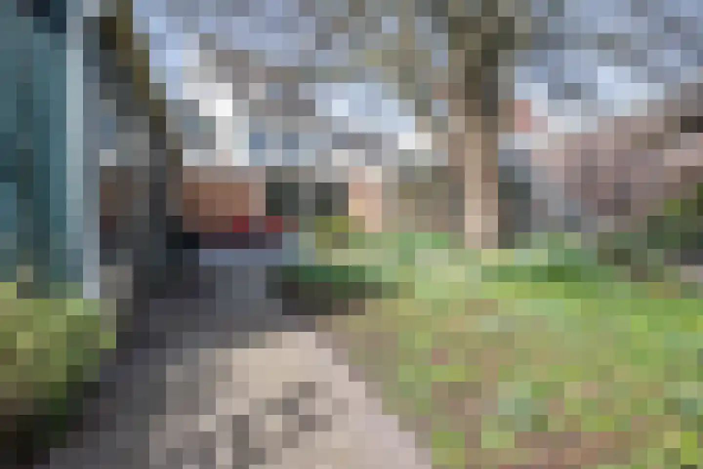 Dorpsstraat 24 Bergschenhoek thumbnail 39