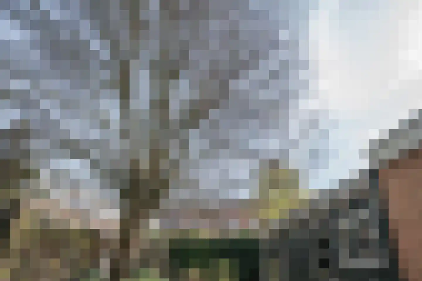 Dorpsstraat 24 Bergschenhoek thumbnail 42