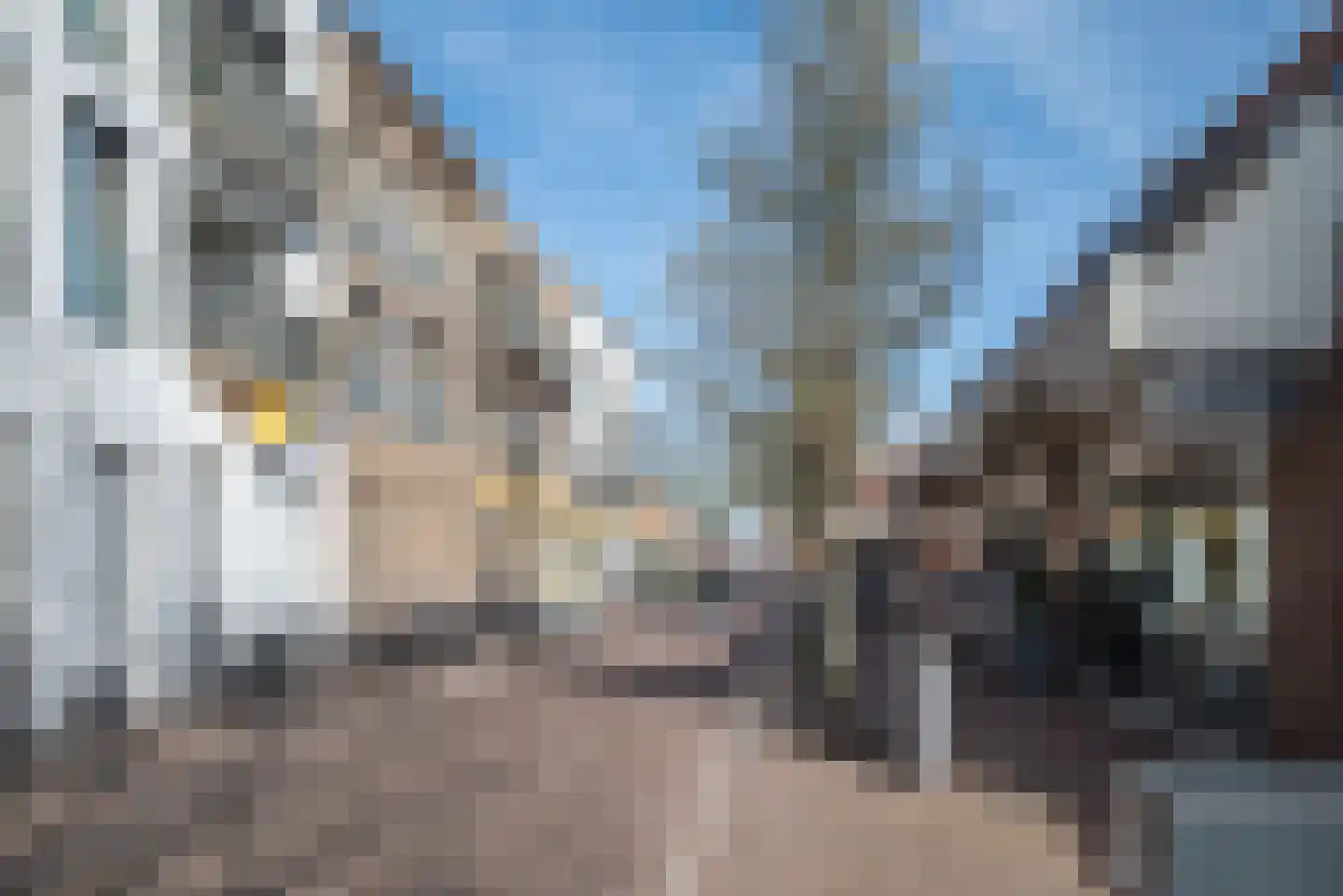 Dorpsstraat 24 Bergschenhoek thumbnail 43