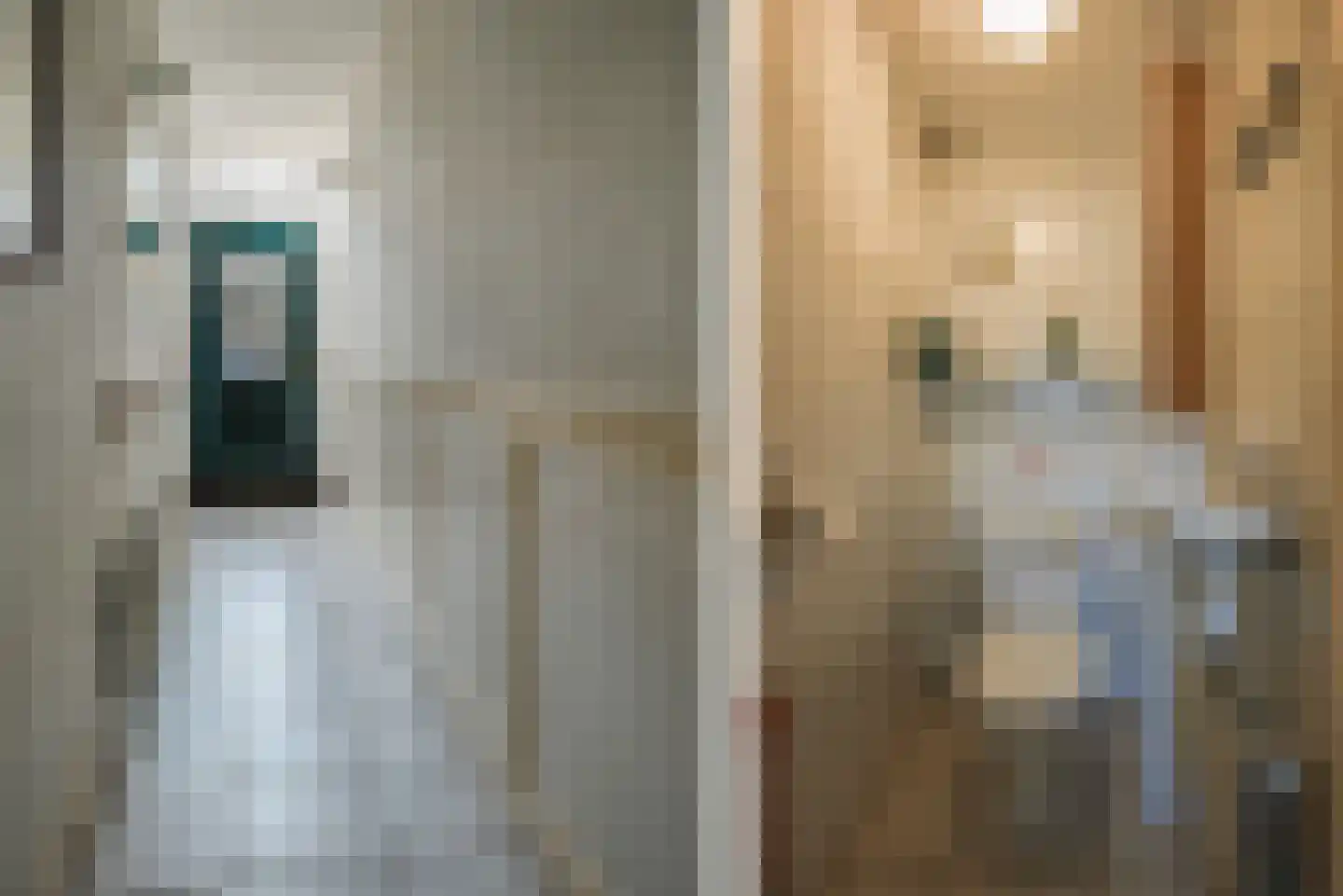 Dorpsstraat 24 Bergschenhoek thumbnail 5