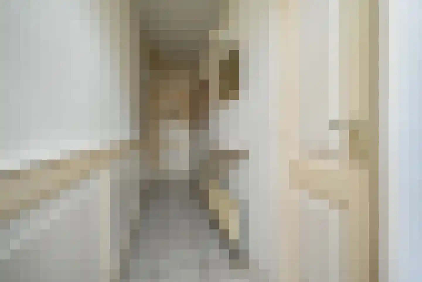 Dorpsstraat 24 Bergschenhoek thumbnail 7