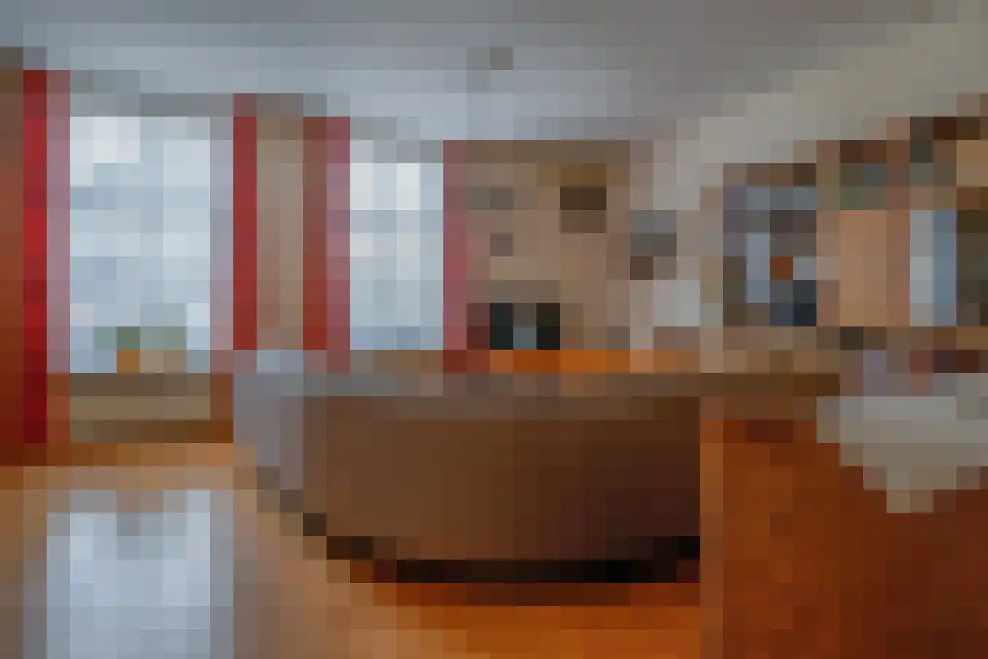 Dorpsstraat 24 Bergschenhoek thumbnail 8