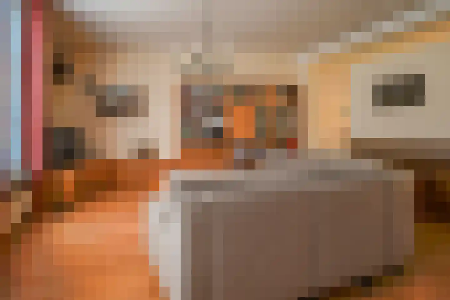 Dorpsstraat 24 Bergschenhoek thumbnail 9
